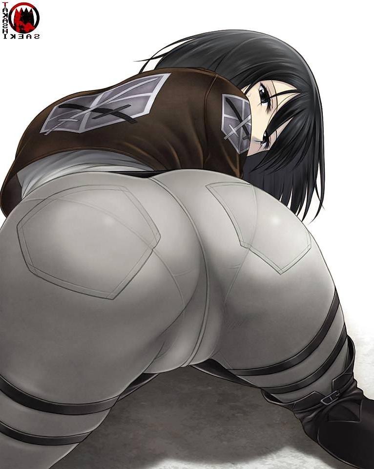 25P Attack on Titan