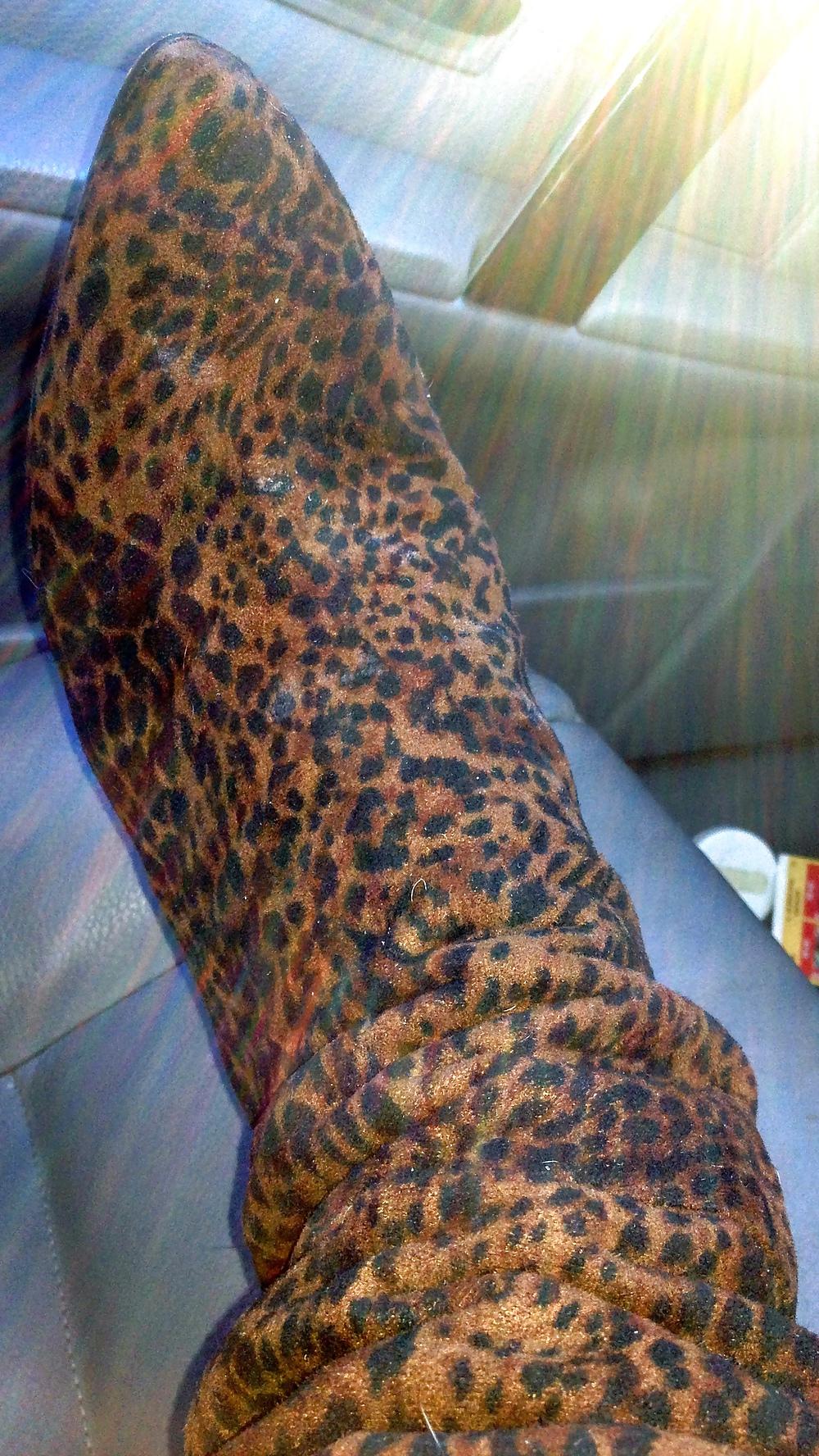 18P Stuart Weitzman OTN  print Boots