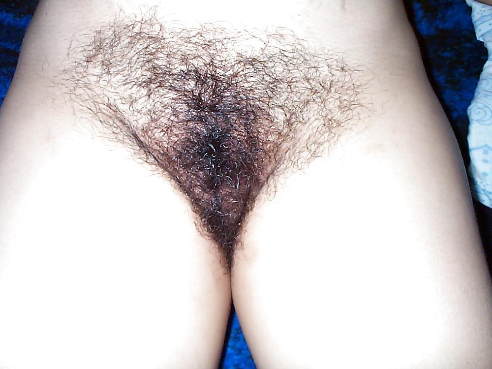 25P Hermosas Panochas Peludas - Beautiful Hairy Pussies