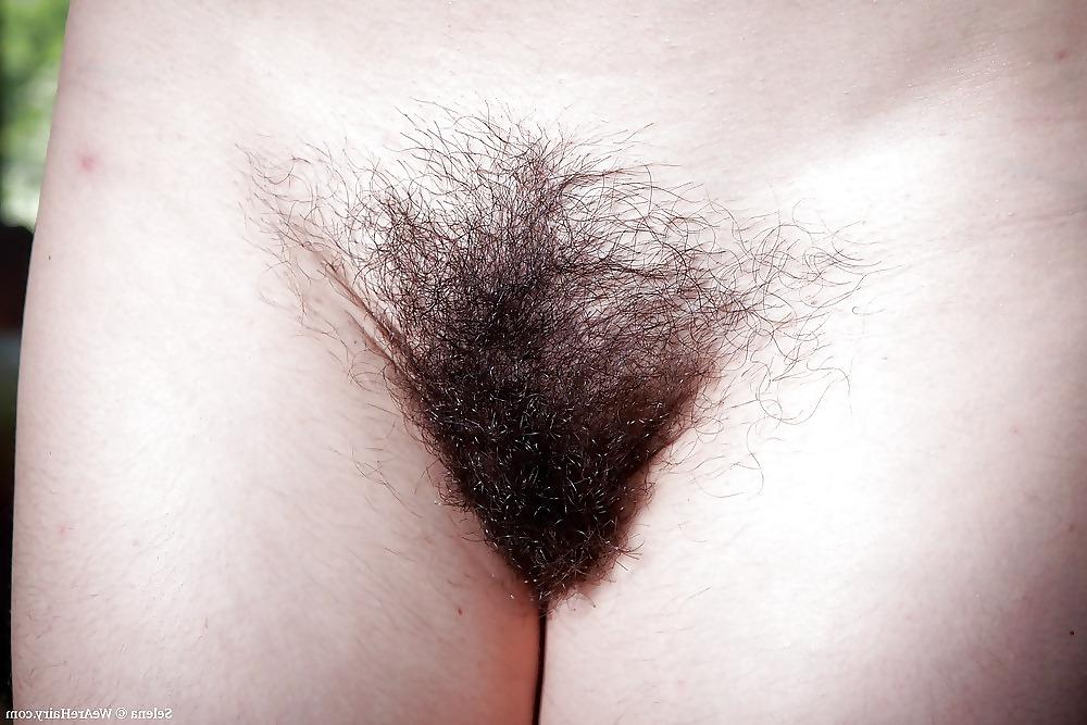 25P Hermosas Panochas Peludas - Beautiful Hairy Pussies