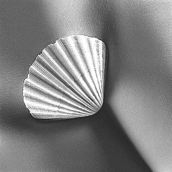 25P Erotic black and white 3