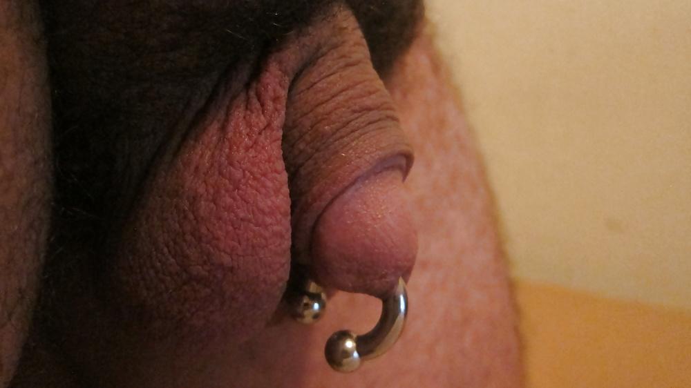4P Gauge 2 Prince Albert Piercing
