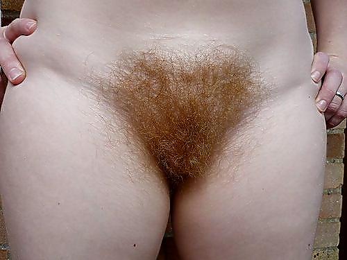 15P HAIRY STORY