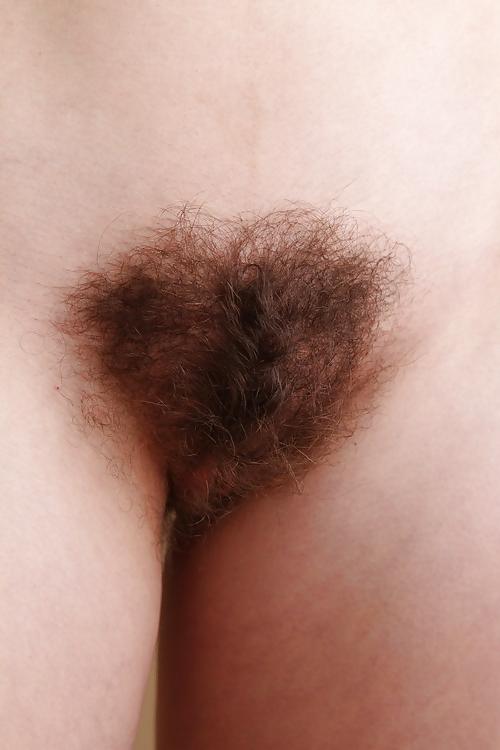 17P HAIRY STORY - II