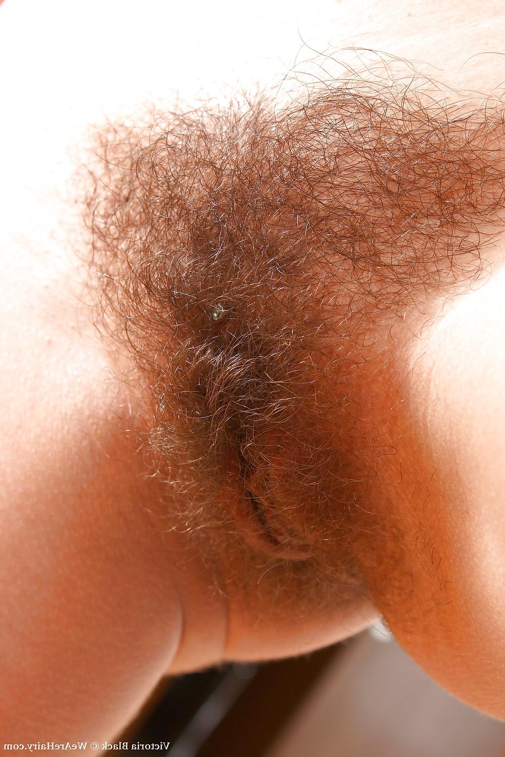 17P HAIRY STORY - II
