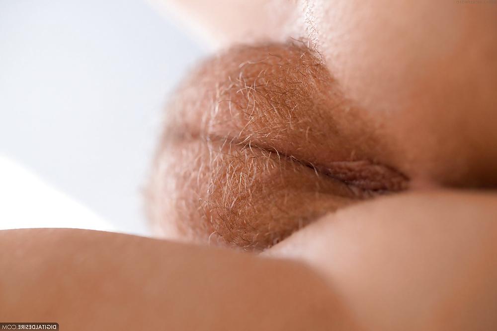 17P HAIRY STORY - II