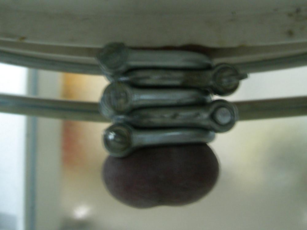 4P Ball Torture 2