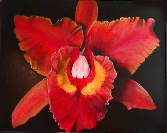 25P Erotic flowers