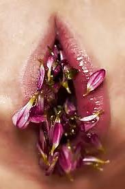 25P Erotic flowers