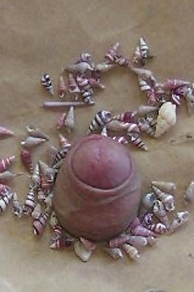 12P Sushicook's erotic dickel