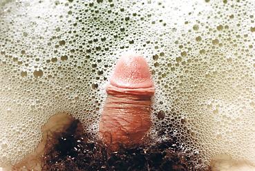 12P Sushicook's erotic dickel