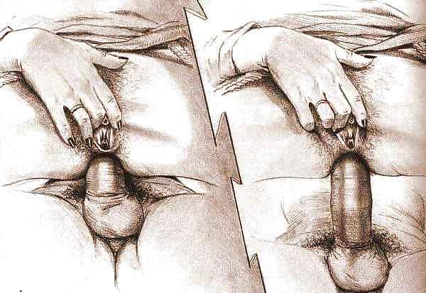 25P Anal Draws