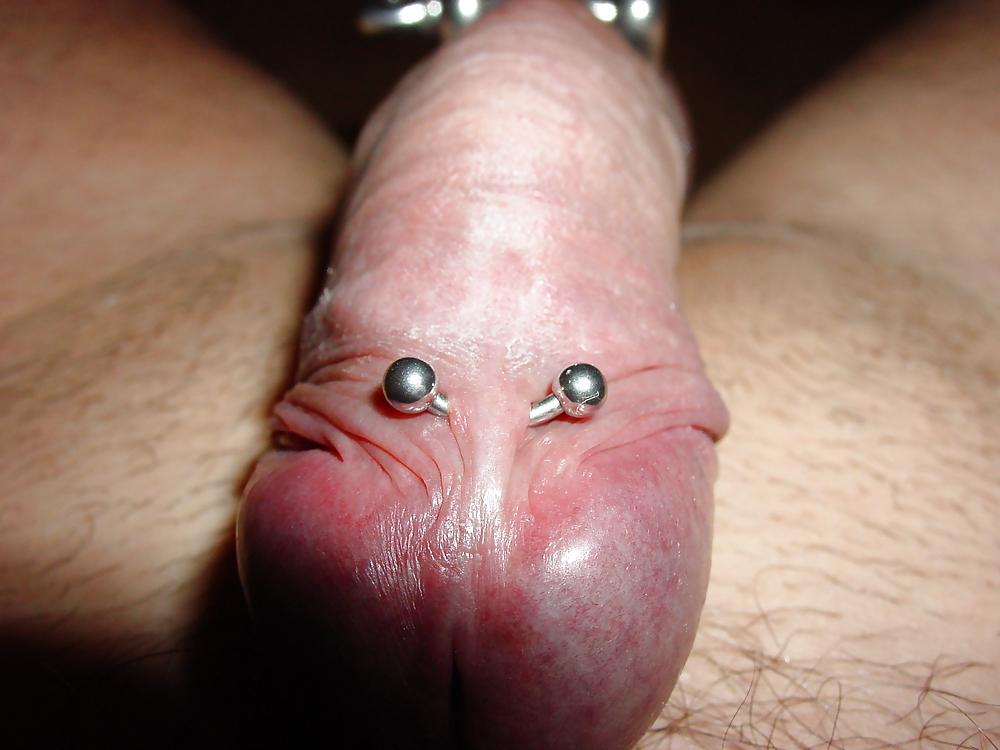 9P My pierced Cock by Bedrik