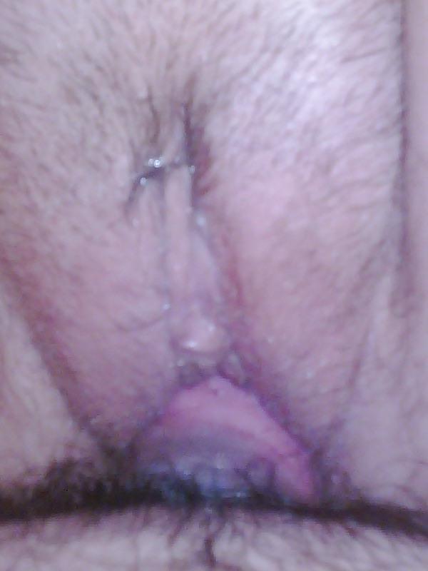 6P Cream Pie pics