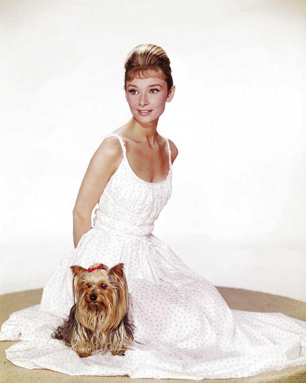 25P Classic Audrey Hepburn 