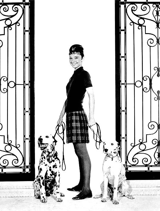 25P Classic Audrey Hepburn 