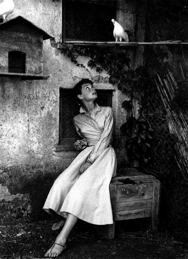 25P Classic Audrey Hepburn 