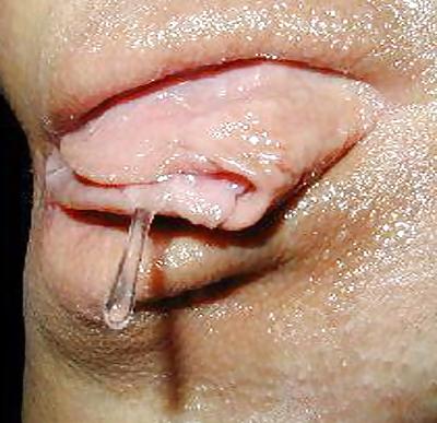 25P Wet dripping pussy