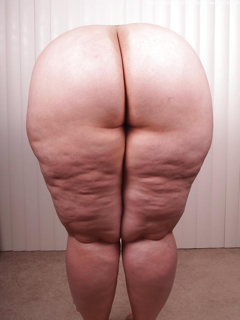 12P Big booty latina Uploaded By AndrewBBWLover