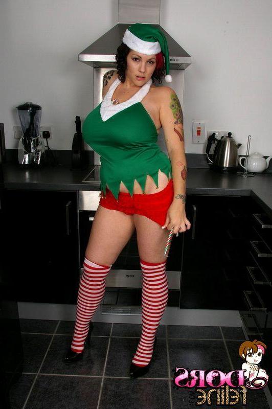 16P Pictures of Dors Feline dressed as Santa's Helper for xmas