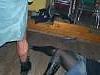 25P Hen With Stripper
