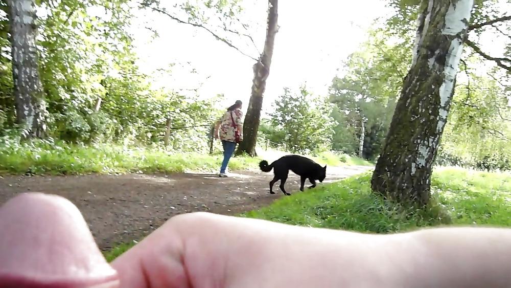 11P Public Masturbation