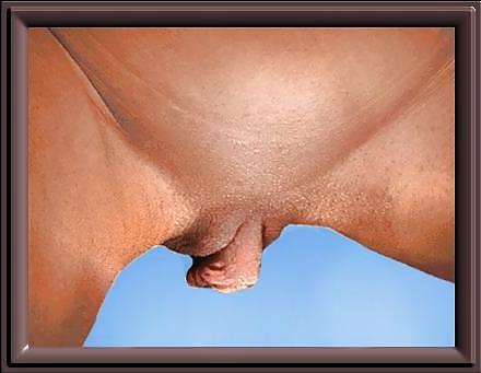 14P Mixed Big Clit Closeups