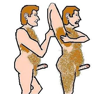 6P Erotic Wrestlers