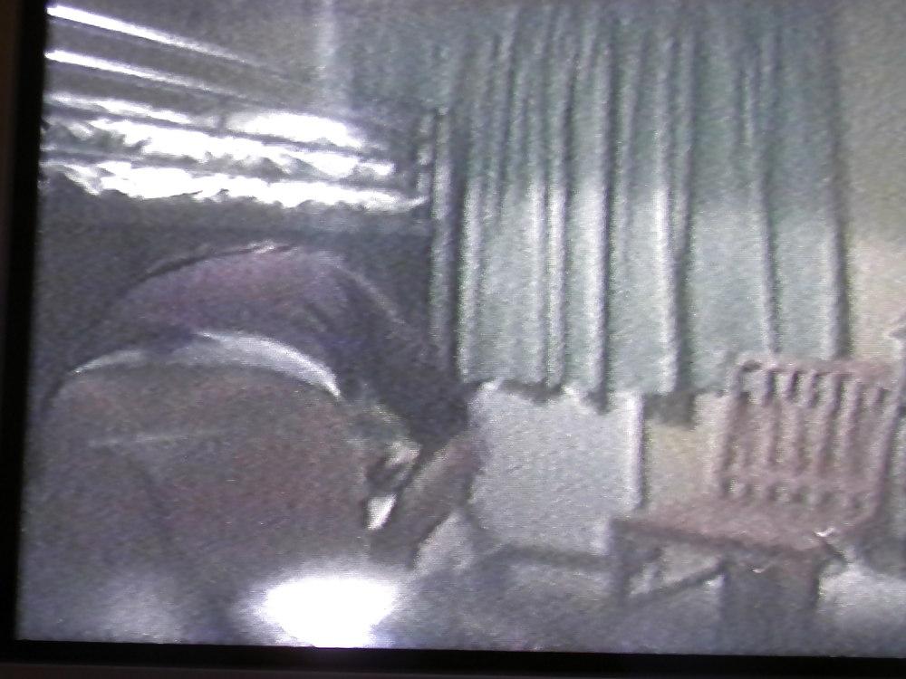 25P Spy cam Pics