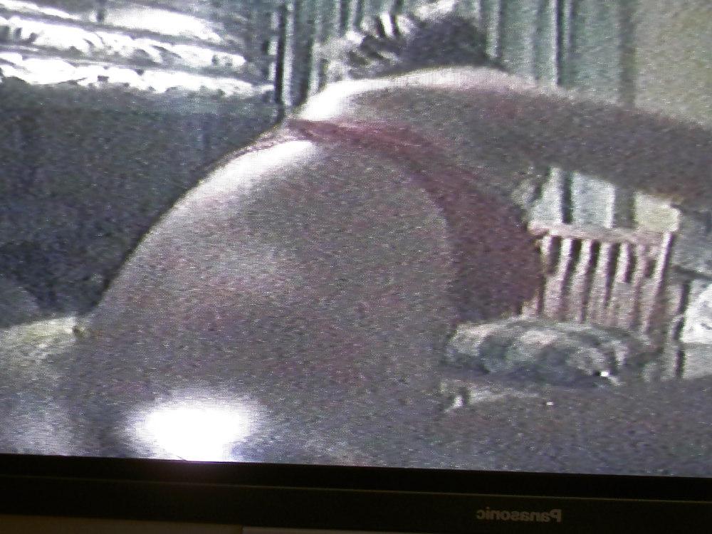 25P Spy cam Pics