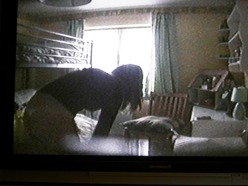 25P Spy cam Pics