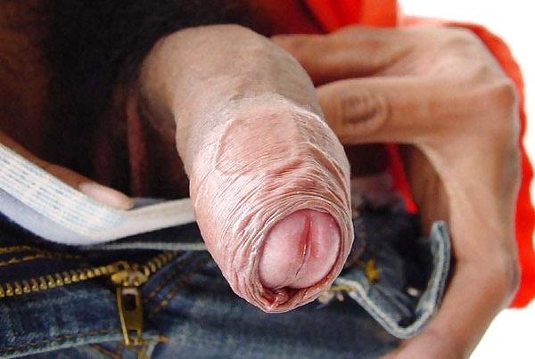 25P Blowjobs, cocks and cum 2