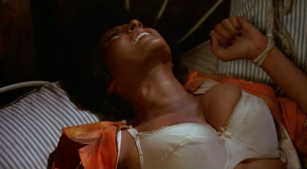 25P Pam Grier Ultimate Nude Collection