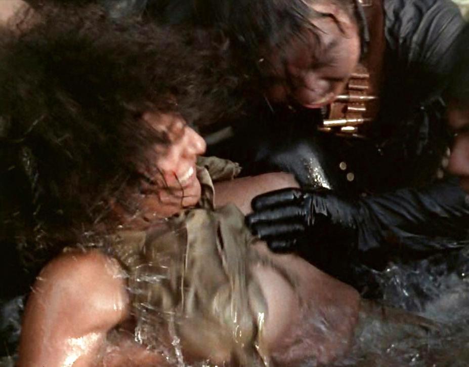 25P Pam Grier Ultimate Nude Collection