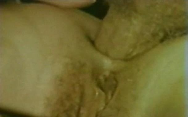8P Seka Anal