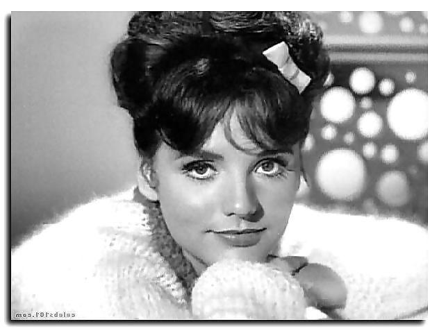 25P Dawn Wells - Mary Ann Summers