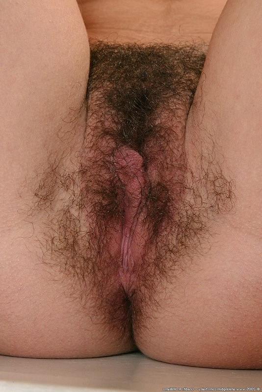 15P Megan has a hairy pussy and pierced nipples