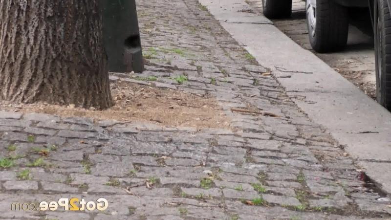 15P Sexy European has a much needed piss outside