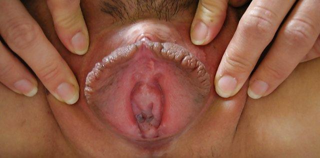 15P Nice pussy's