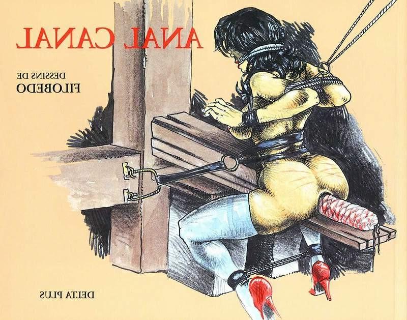 15P bizarre female anal bondage artwork