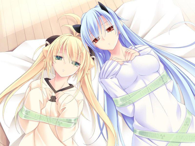 20P Two big titty sex slaves come by mail to serve their new master