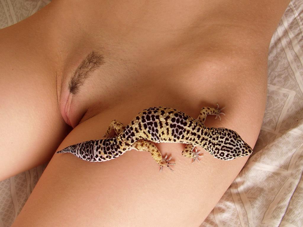 18P Big breasted teen babe rubs her pink pussy in bed