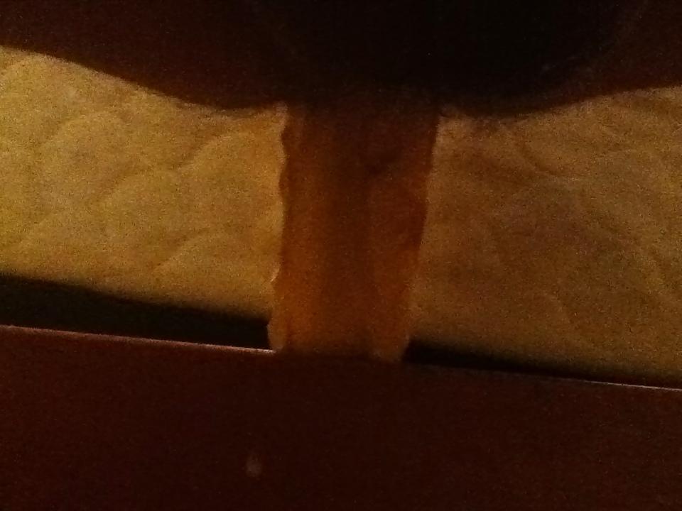 12P Anal fun
