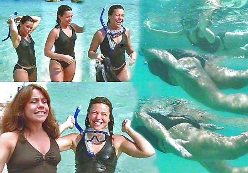 25P Rachael Ray Appreciation Gallery with fakes