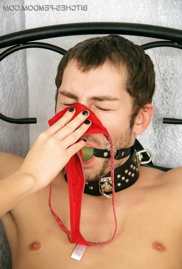 15P Bitches femdom picture gallery on femdom worship dot com