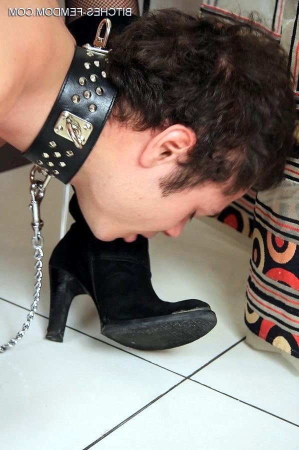 15P Bitches femdom picture gallery on femdom worship dot com
