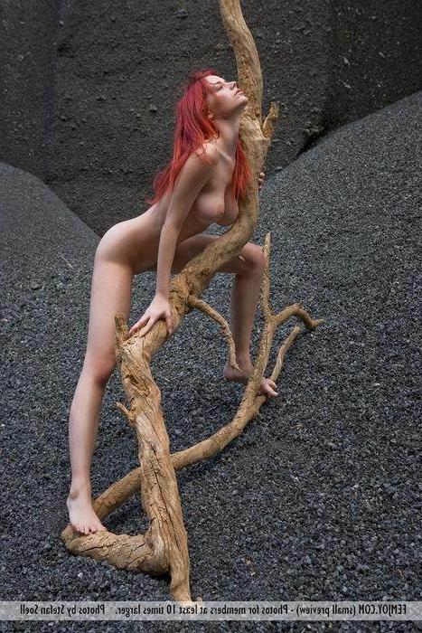12P Erotic Nudes Of Redheaded Babe