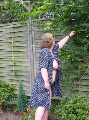 16P chubby and plumper granny gallery