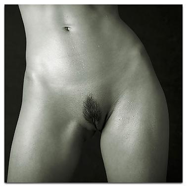 25P Abs, Tummies & Torsos - Black and White Erotic