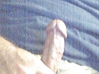 18P Hairy Italian Wife in Tampa